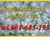 Skup Zadłużonych Spółek oraz JDG?/Ochrona Zarządu i Hipoteki, także przymusowej