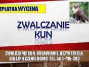 Pastuch na kuny, cena tel. 504-746-203. Kuna, Odławianie, odstraszanie