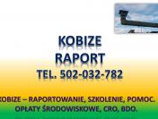 Raportowanie do Kobize cena. tel. 502-032-782. Zgłoszenie do Kobize