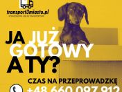 Przeprowadzki Gdynia - moving company Gdynia