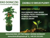 Ekologiczna uprawa Warzyw – Doniczki Spinane