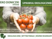 Rozsada – doniczki do warzyw