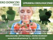 Osłonki do rozsady – Uprawa pomidorów