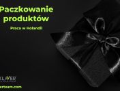 Praca za granicą- Paczkowanie- Holandia- praca od zaraz!