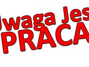 Praca w Holandii - Pakowanie jaj - Od zaraz