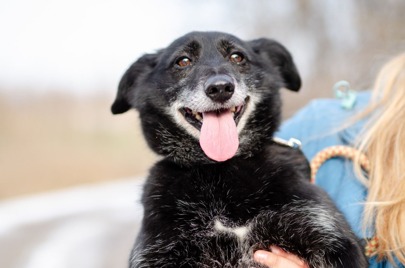 Patyk - niewielki ciałem ale wielki sercem!  - Zdjęcie 1