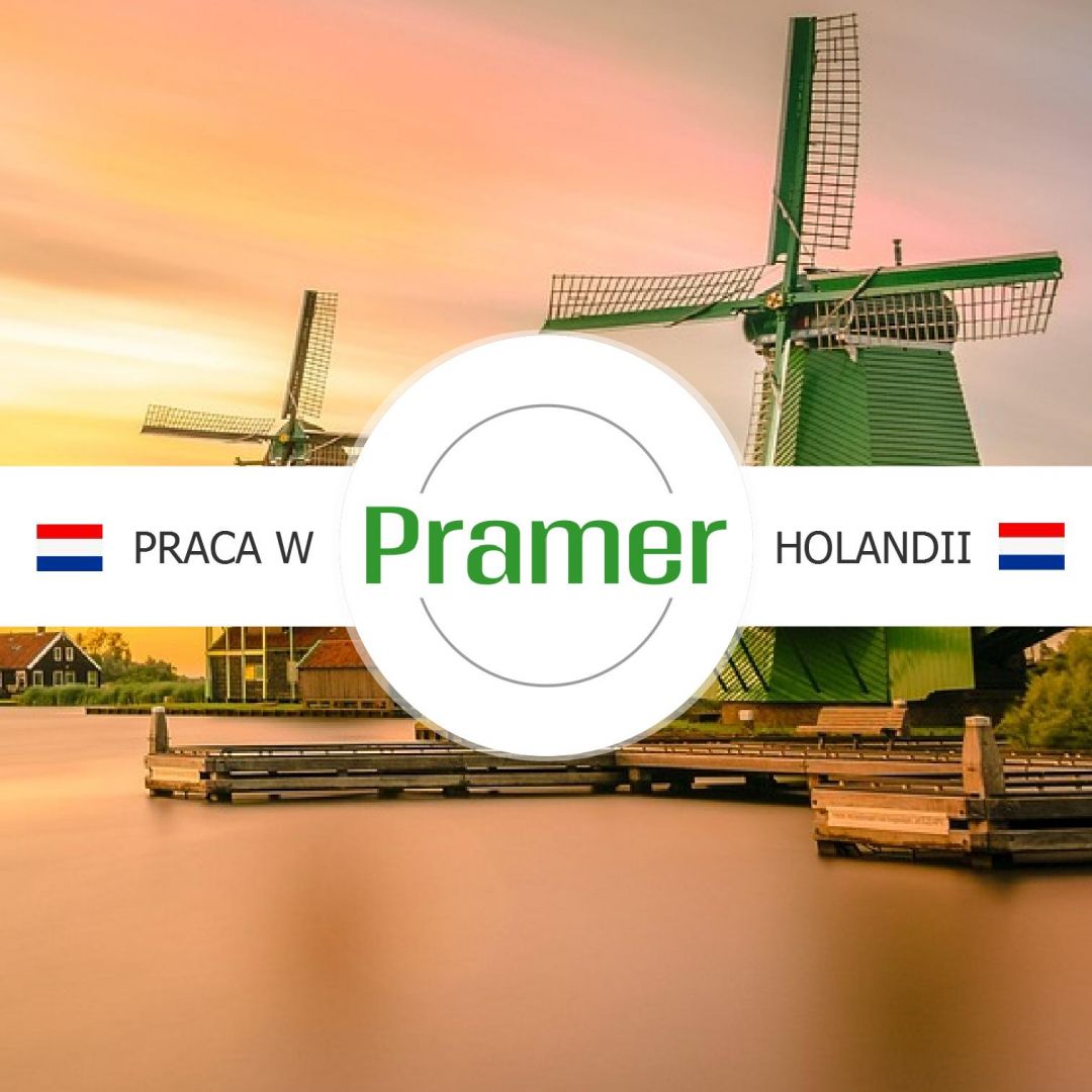 Pracownik produkcji wyrobów jajecznych  - praca w Holandii  - Zdjęcie 1