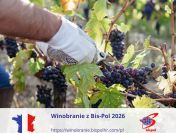 Winobranie 2026