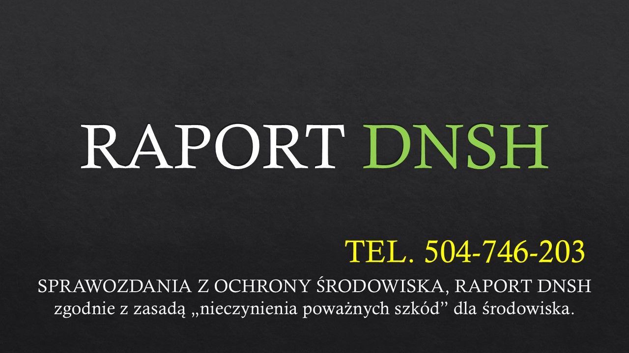 Sprawozdanie DNSH, tel. 504-746-203,  raport „nie czyń znaczącej szkody”  - Zdjęcie 1