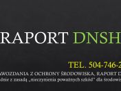 Raport DNSH dla projektu, tel. 504-746-203,  cena, zasada DNSH,