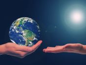 Wykonanie raportu, sprawozdania DNSH, tel. 504-746-203,  cena