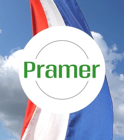 Team lider - stabilna praca - praca w Holandii  - Zdjęcie 1