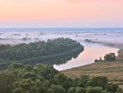 Wydzierzawie do zagospodarowania 200 zl/ha pasieka,sad jabloniowy,sady owocujace